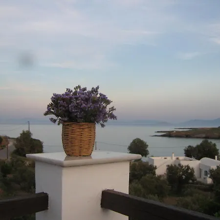 The House νάξος