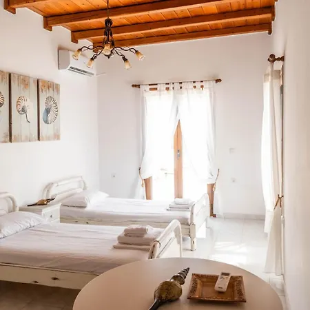 The House νάξος דירה