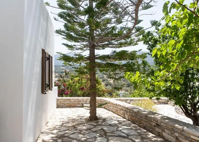 Apartament The House νάξος