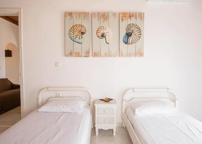 The House νάξος